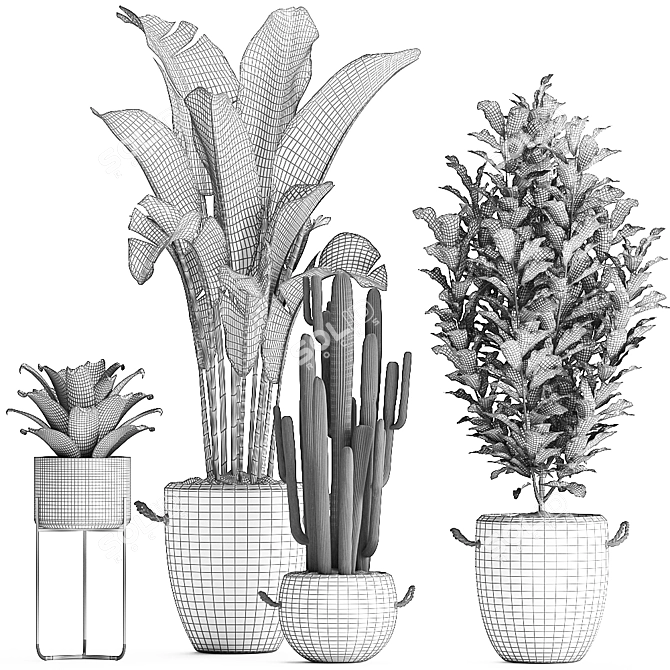 Exotic Houseplant Collection 3D model image 4