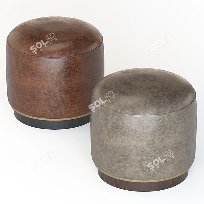 Elegant Eddy Pouf by Laskasas 3D model image 3