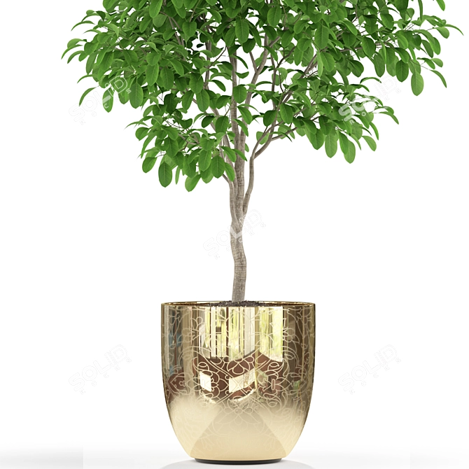 Botanical Bliss: 235 Plant Collection 3D model image 4