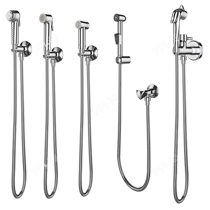 Hygienic Shower Set: GROHE & Griferías Galindo 3D model image 2