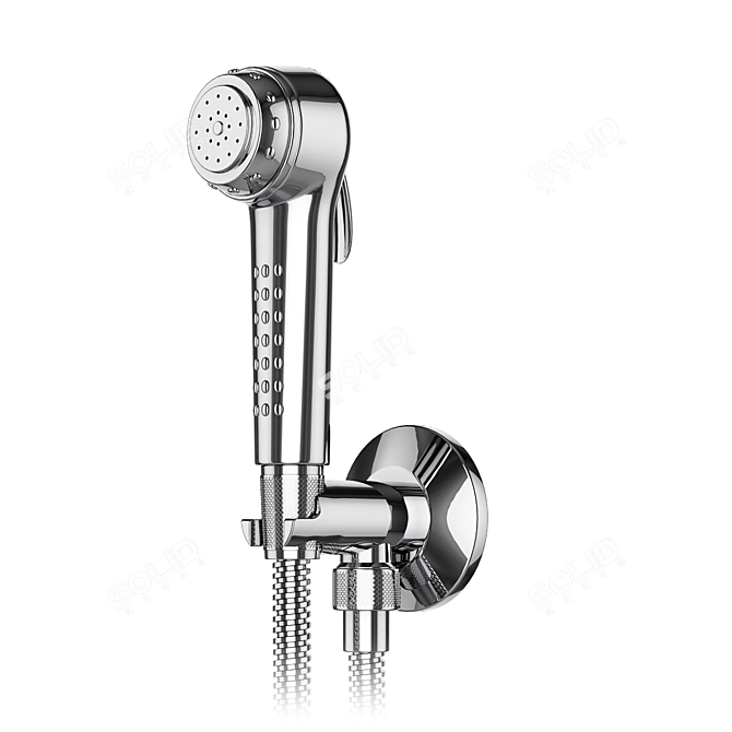 Hygienic Shower Set: GROHE & Griferías Galindo 3D model image 3