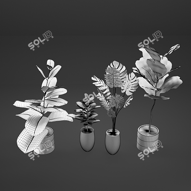Exotic Plant Collection: Plant & Vase 3D model image 3