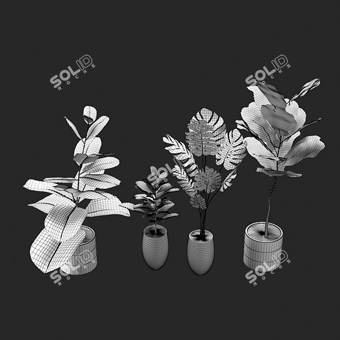 Exotic Plant Collection: Plant & Vase 3D model image 6