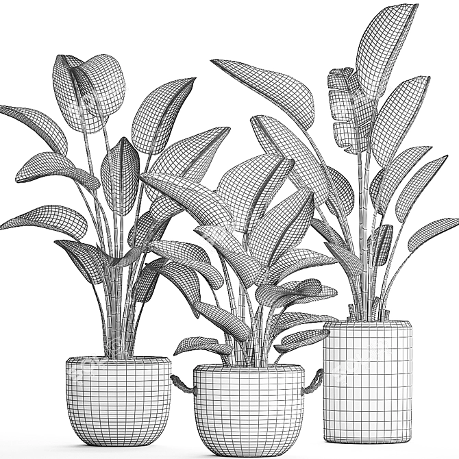 Exotic Houseplants Collection 3D model image 4