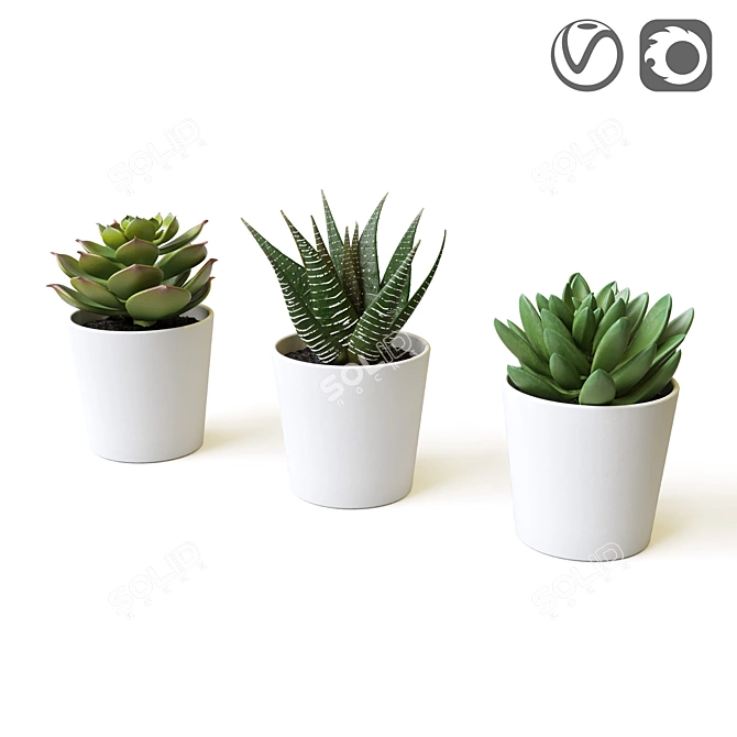 Everlasting Greenery: Artificial Succulents 3D model image 1