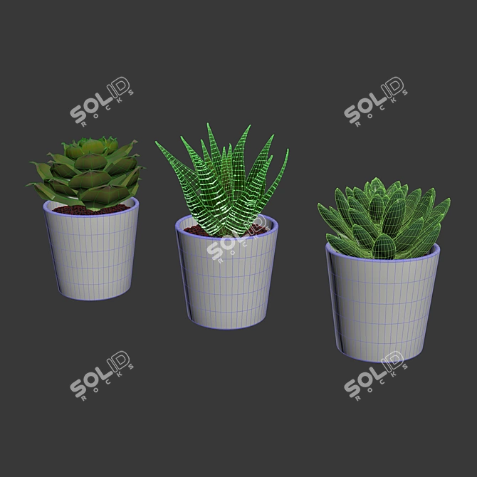 Everlasting Greenery: Artificial Succulents 3D model image 4