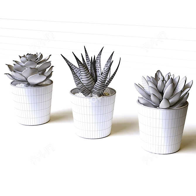 Everlasting Greenery: Artificial Succulents 3D model image 5