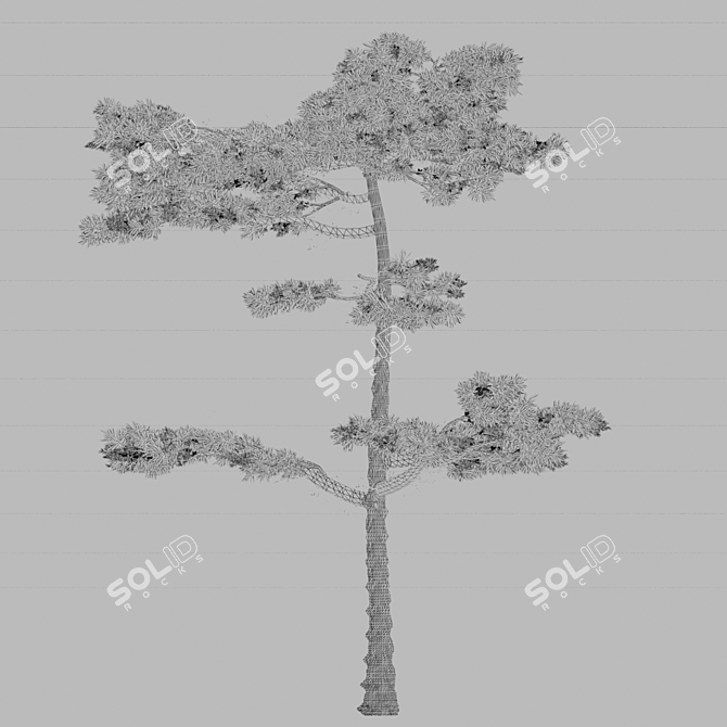 Forest Villa Pine Tree 3D model image 3