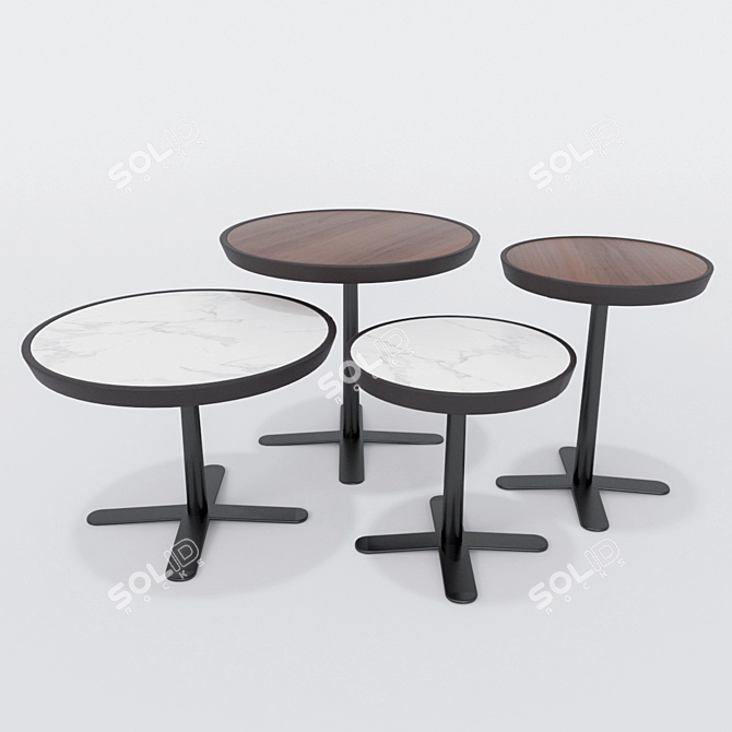 Elegant Molteni Kew Tables 3D model image 2