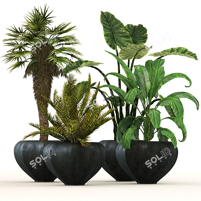 Lush Oasis: Office and Coffee Shop Plant Set 3D model image 1