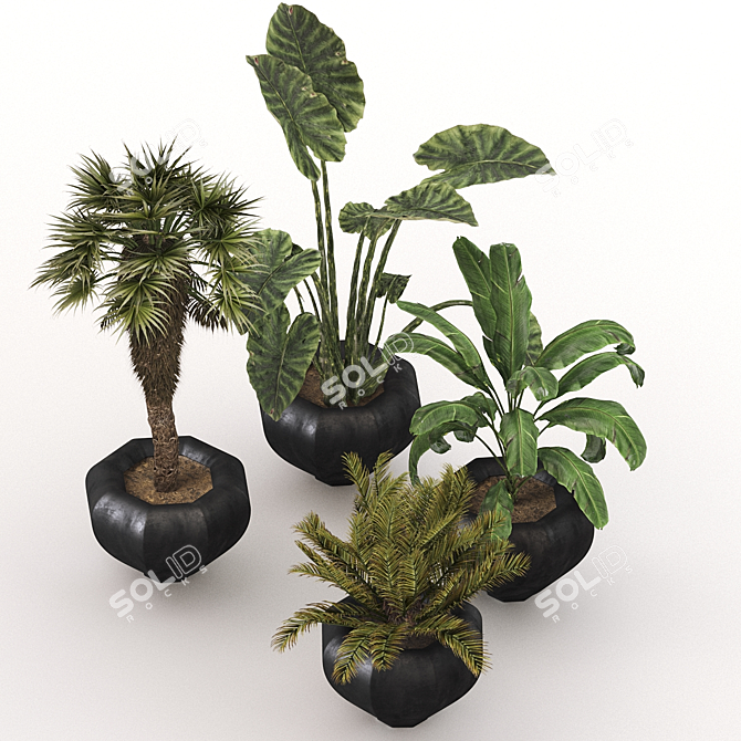 Lush Oasis: Office and Coffee Shop Plant Set 3D model image 2