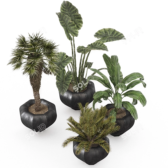 Lush Oasis: Office and Coffee Shop Plant Set 3D model image 6