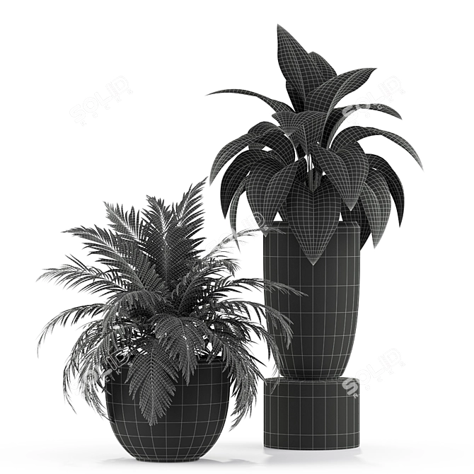Exquisite Plants Set 236 3D model image 3
