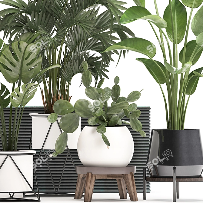 Exotic Plant Collection with Decorative Pots 3D model image 3