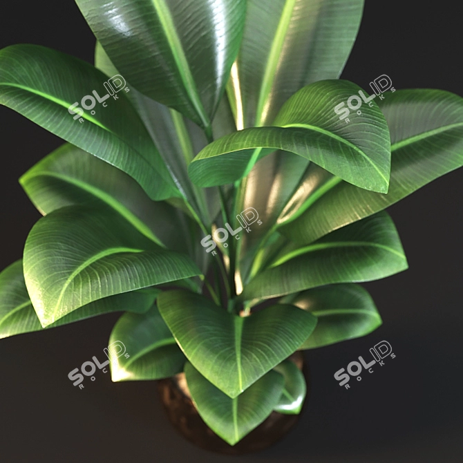 3D Max 2015 Plant Model 3D model image 2