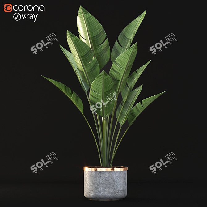 3D Plant Model - High Quality 3D model image 1