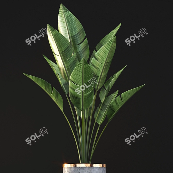 3D Plant Model - High Quality 3D model image 2