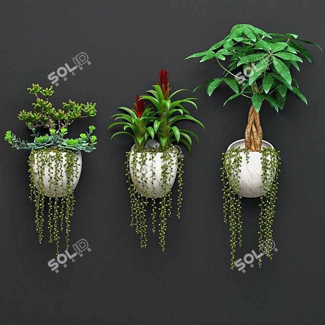 Green Oasis Wall Plant Set 3D model image 1