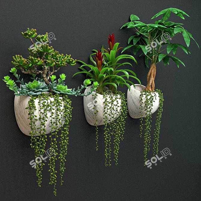 Green Oasis Wall Plant Set 3D model image 2