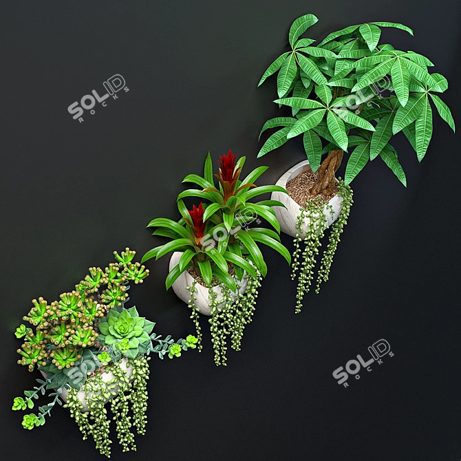 Green Oasis Wall Plant Set 3D model image 3