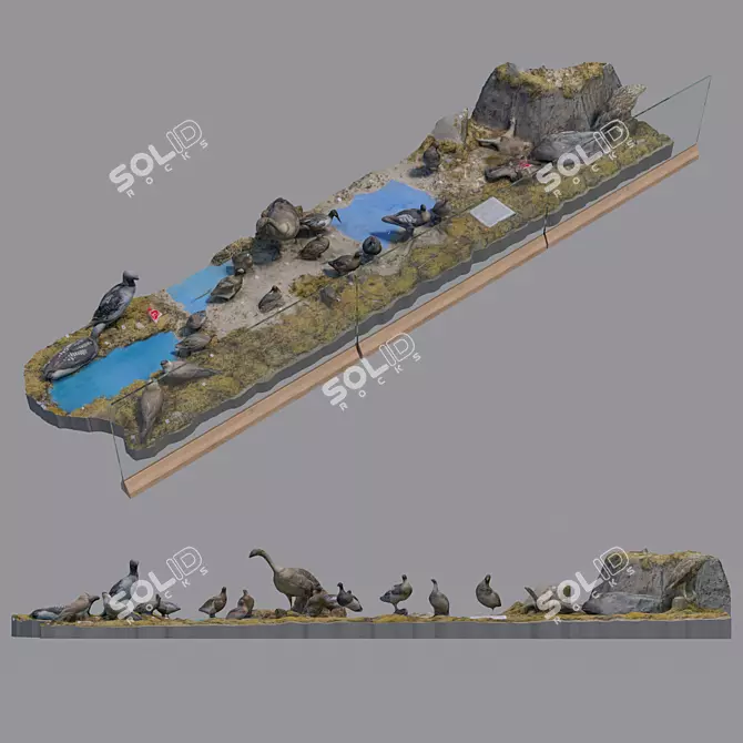 Avian Exhibition: High-Resolution Bird Exposition Map 3D model image 1