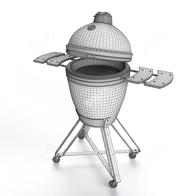 Green Egg Outdoor BBQ Grill 3D model image 13