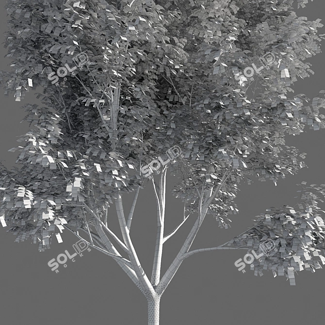 Variations of Trees (Summer-Autumn) 3D model image 5