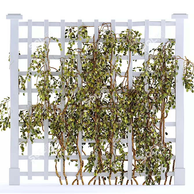 Versatile Trellis for Indoor & Outdoor Plants 3D model image 1