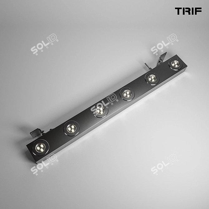 TRIF Architectural Linear Luminaire: LANE FACADE OPTIC 3D model image 2