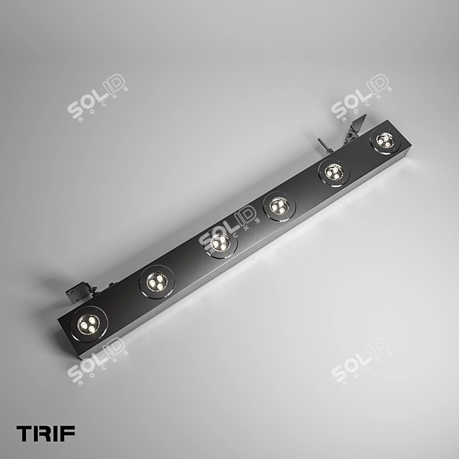 TRIF Architectural Linear Luminaire: LANE FACADE OPTIC 3D model image 5