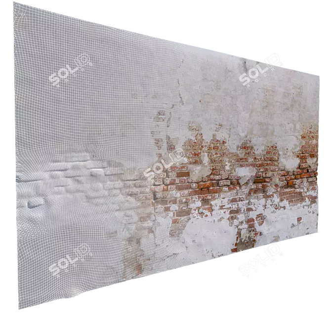 Historic Brick Wall with Stucco - High Resolution 3D model image 5