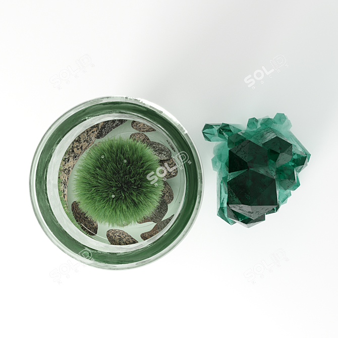 Marimo Crystal: Natural Beauty for Your Space 3D model image 2