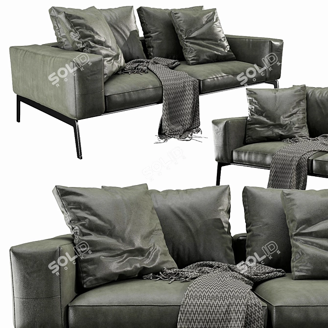 Sleek Flexform Lifesteel Sofa 3D model image 2