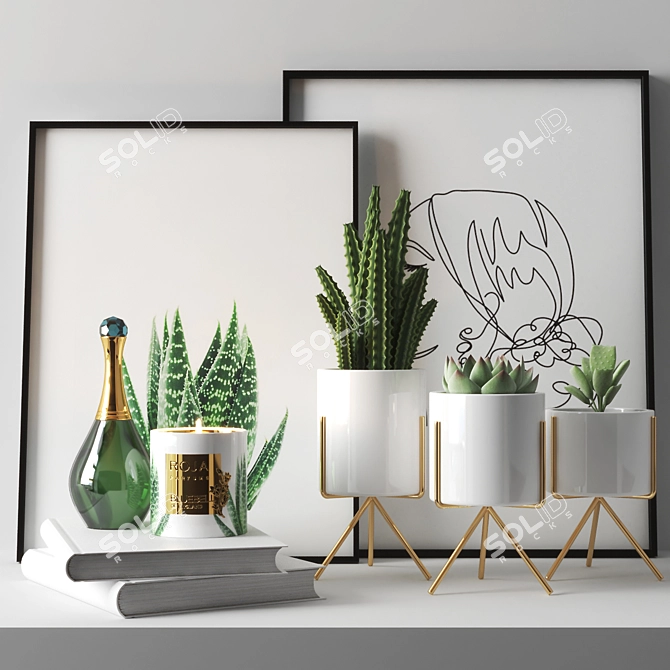 72K Unique Cactus Set 3D model image 1