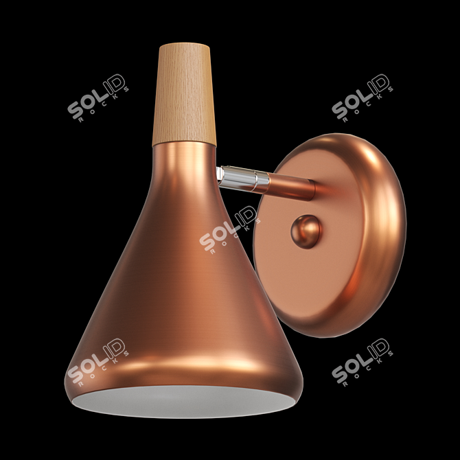 Copper Modern Wall Lamp 3D model image 1