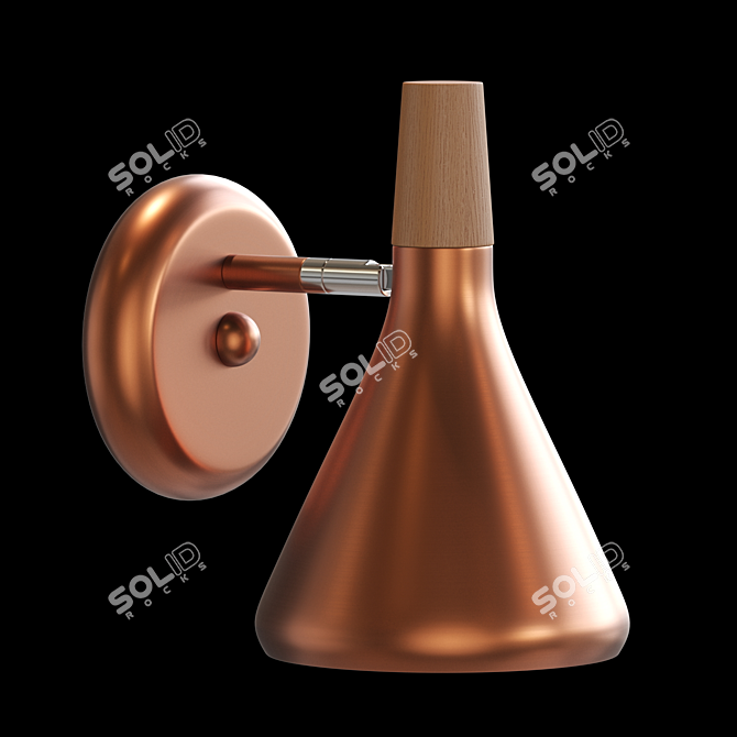 Copper Modern Wall Lamp 3D model image 2