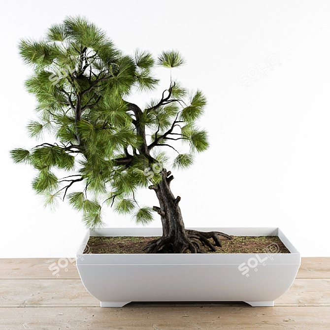 Vibrant Rainbow Bonsai Tree 3D model image 2