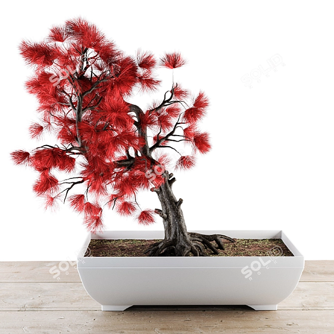 Vibrant Rainbow Bonsai Tree 3D model image 4