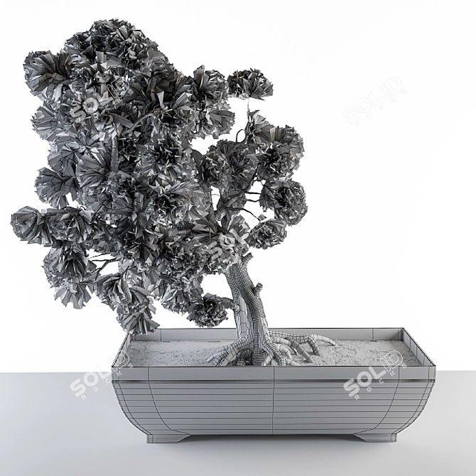 Vibrant Rainbow Bonsai Tree 3D model image 5