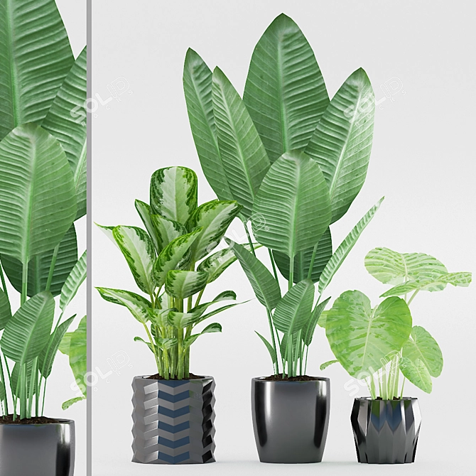 Exotic Plants in Black Ceramic 3D model image 1