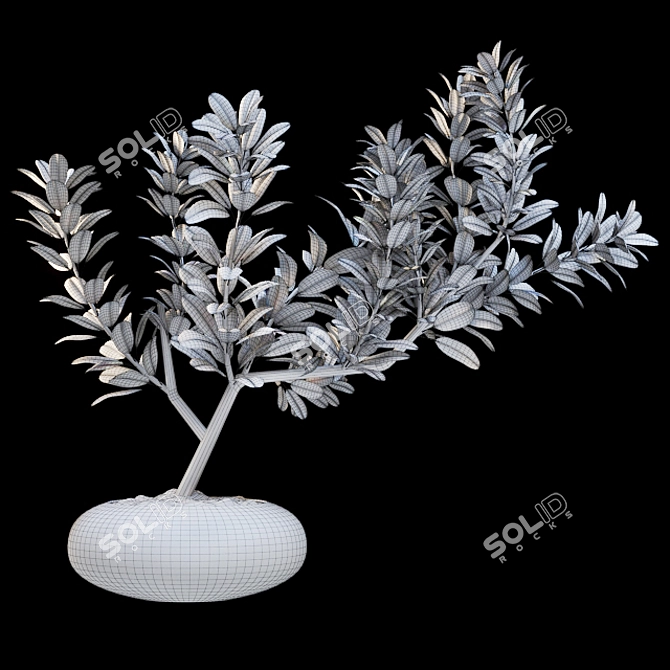 3D MAX 2015 Obj Fbx Archival Models 3D model image 3