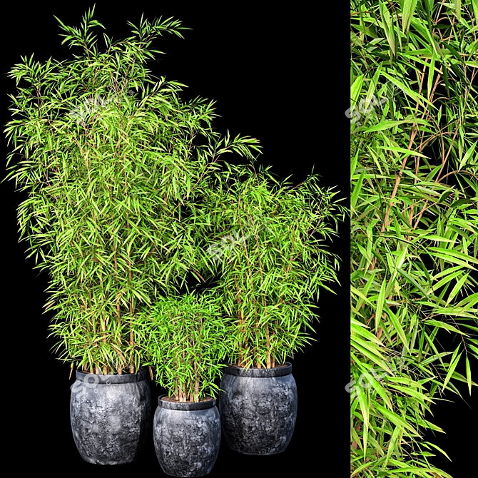 Bamboo Oasis Set: Lush Outdoor Privacy Plants! 3D model image 1