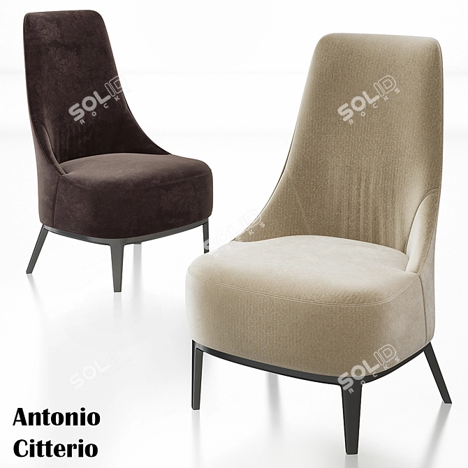 Febo Armchairs by Antonio Citterio 3D model image 1