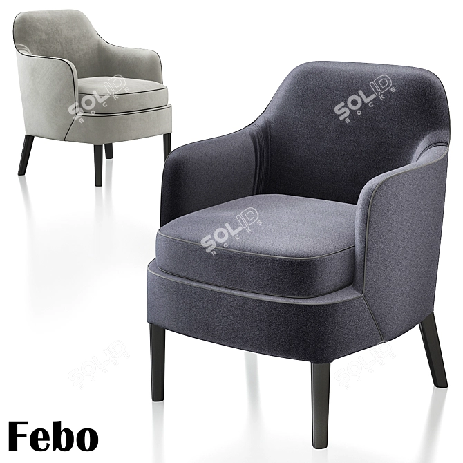 Elegant Febo Chairs by Antonio Citterio 3D model image 1