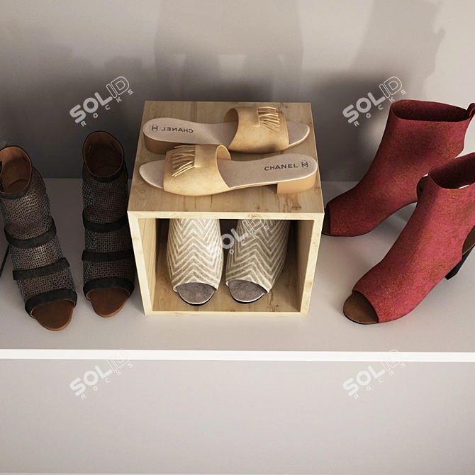 Sleek Women's Shoes Collection 3D model image 4