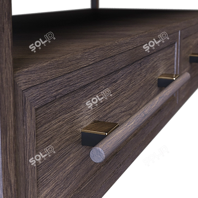 Contempo 2-Drawer Console in Graphite Oak 3D model image 3