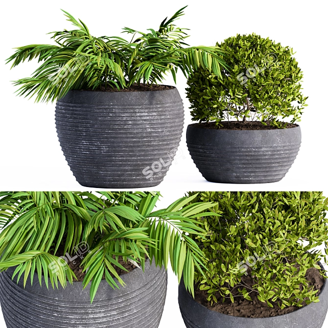 Stylish Black Pot for Outdoor Plants 3D model image 1