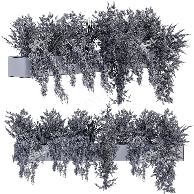 Leafy Charm: Ivy Plants in Box 3D model image 2
