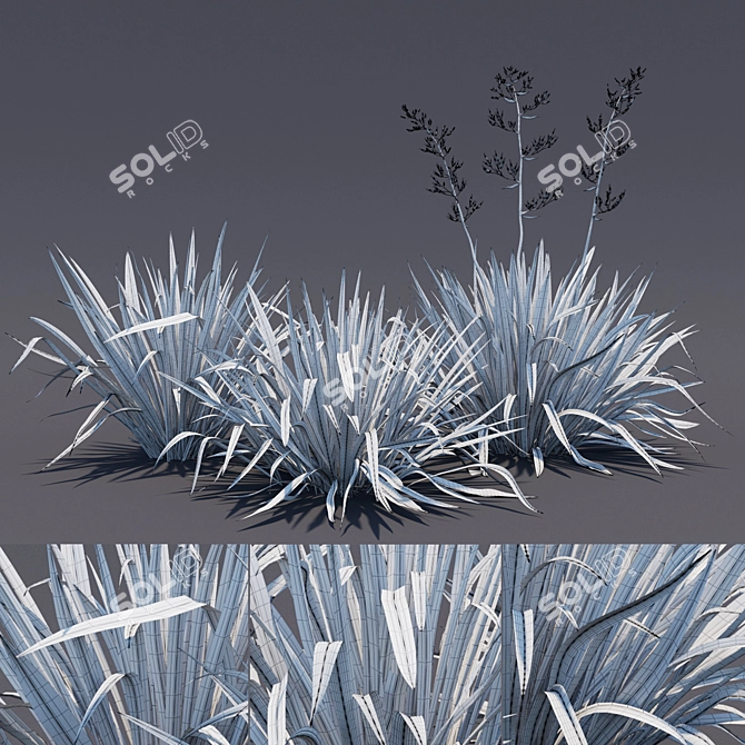 Exquisite Phormium Collection 3D model image 2