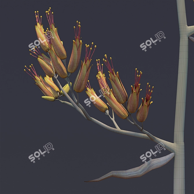 Exquisite Phormium Collection 3D model image 3